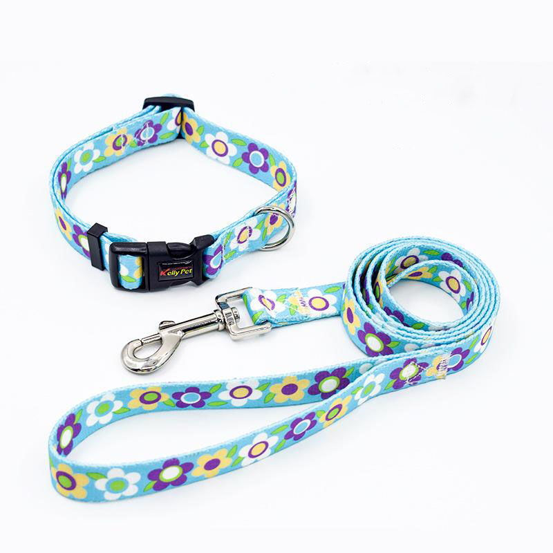 Collar + correa estampada (celeste-flores)