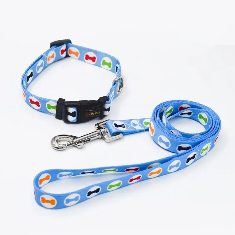 Collar + correa estampada (celeste-huesos)
