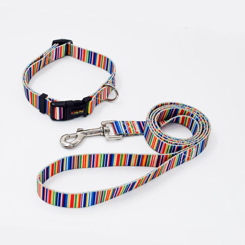 Collar + correa estampada (rayas-multicolor)