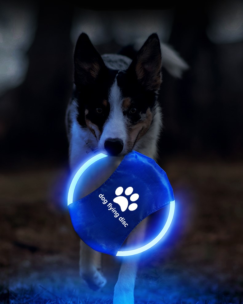 Frisbee con luces